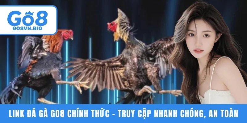 Link đá gà GO8 chính thức